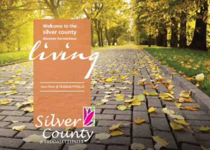 Silver County PeddaShetty palle